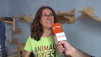 AMB VEU ALTA – Llei del Benestar Animal (1)