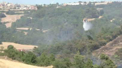 Cremen 30 hectàrees a Pujalt en el primer incendi de l’estiu a l’Anoia