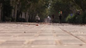 L’onada de calor deixa la temperatura més alta a Igualada dels últims 31 anys