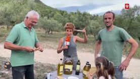 Poc oli d’oliva extra verge i a preus disparats, en parla un productor del Raval d’Aguilera