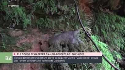 Només un dels gorgs de Cabrera d’Anoia torna a rajar després de les pluges