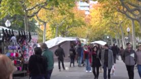 L’encesa de llums, la pista de gel i la Fira de Sant Andreu donen el tret de sortida a la campanya de Nadal de Manresa