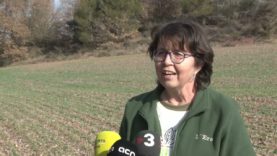 Ecologistes del Bages reclamen una gestió conjunta del sòl industrial per preservar el mosaic agroforestal