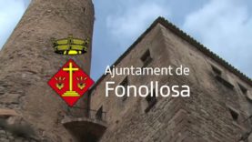 Visites guiades Torres de Fals de Fonollosa