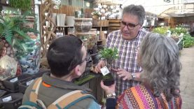 Viver Serra celebra la festa de Primavera amb un esclat de flors