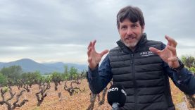 Reg o varietats més resistents, els viticultors del Bages s’adapten per fer la vinya ‘més resilient’ al canvi climàtic