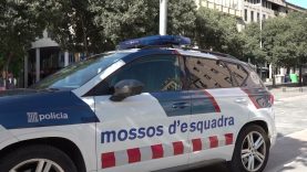 Desplegament policial a Sant Domènec arran d’una baralla