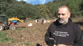 S’endarrereix la collita del trumfo a Odèn