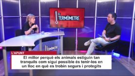 El Termòmetre 22-06-2023 – Els petards de Sant Joan afecten entre un 30 i un 40% d’animals