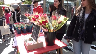 Especial Sant Jordi 2024 a Vic, Sant Julià de Vilatorta, Moià i Gurb