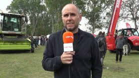 Centenars de visitants a la Festa de Sant Isidre a Granollers de la Plana